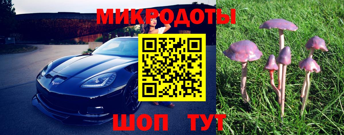 Псилоцибиновые грибы Psilocybine cubensis Краснодар