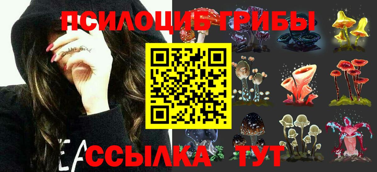Краснодар  Галлюциногенные грибы Cubensis  Галлюциногенные грибы Magic Shrooms  Вход с VPN 